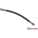 BREMBO Bremsschlauch | T 11 017