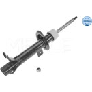 Stoßdämpfer | 7266230010