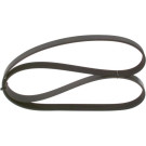 1 987 947 560 Keilrippenriemen