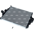 Kühler, Motorkühlung | 58431