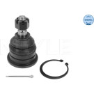 Gelenk - Radaufhängung Nissan P. Pick Up 98- Gàrny MEYLE-ORIGINAL: True to OE 36-16 010 0012