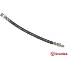 BREMBO Bremsschlauch | T 23 043