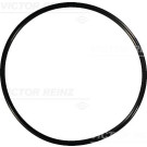 Dichtung Ventilschaft(4-5x/Mot) | RENAULT Laguna,Safrane | 40-76741-00