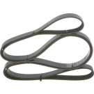 1 987 946 046 Keilrippenriemen