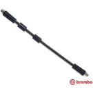 BREMBO Bremsschlauch | T 85 041