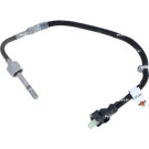 Sensor, Abgastemperatur | 707167