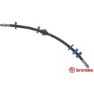 BREMBO Bremsschlauch