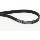 CONTINENTAL CTAM Keilrippenriemen 6PK868 ELAST