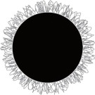 OK-03.4071 Polierkissen Mit Klettverschluss, Wolle 75 Mm, Aq-12