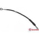 BREMBO Bremsschlauch | T 59 080