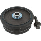 CORTECO Samen 80001996