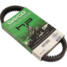 Dayco Antriebsriemen | QUAD/ATV 30,0 x 876 | HP2005