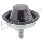 TOPRAN Motoraufhängung 720471