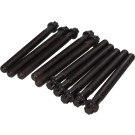 Zylinderkopfschraubensatz | B1401