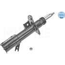 Stoßdämpfer | 7266230047