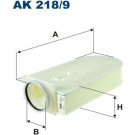 FILTRON Luftfilter | AK 218/9