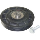 CORTECO Samen 80004894