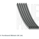 Keilrippenriemen 5Pk1732 Kia | AD05R1732