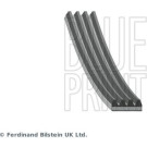 BluePrint Rillenriemen AD04R1538