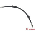 BREMBO Bremsschlauch | T 23 017