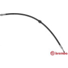 BREMBO Bremsschlauch | T 50 061