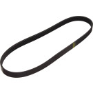 1 987 946 027 Keilrippenriemen