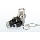 BorgWarner (Wahler) AGR-Ventil 710947D/1