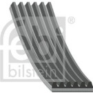FEBI BILSTEIN Rillenriemen