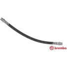 BREMBO Bremsschlauch | T 11 006