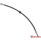 BREMBO Bremsschlauch | T 06 012