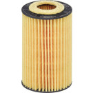 HENGST FILTER Ölfilter | E45H D113