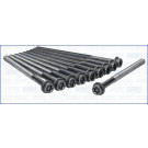 Zylinderkopfschraubensatz | 81002000