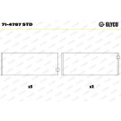 PLEUELLAGER 71-4787 STD
