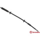 BREMBO Bremsschlauch