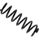 Fahrwerksfeder | 36-301836