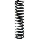 SPIDAN Fahrwerksfeder | 48665