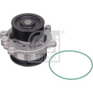 FEBI BILSTEIN Wasserpumpe | 31737
