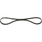 1 987 948 349 Keilrippenriemen