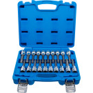 BGS Bit-Einsatz-Satz | Antrieb Innenvierkant 12,5 mm (1/2"""") | Innensechskant, T-Profil (für Torx), Innenvielzahn (für XZN) mit Kugelkopf | 20-tlg | 5170