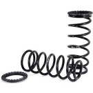 Arnott Fahrwerksfedernsatz HA | TOYOTA Land Cruiser Prado 02-09 | C-2410