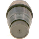 1 110 010 017 Druckbegrenzungsventil, Common-Rail-System