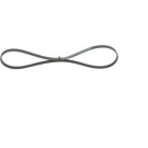 Keilrippenriemen | TOYOTA Prius | 1987946232