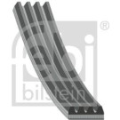 FEBI BILSTEIN Rillenriemen | 28811