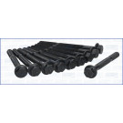 Zylinderkopfschraubensatz 81007600