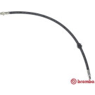 BREMBO Bremsschlauch | T 06 046