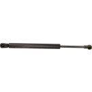 Gasfeder, Koffer-/Laderaum | 12-1705