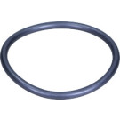 Original VAG Wasserpumpendichtung VW Golf 98 | 038121119 Original VAG Wasserpumpendichtung VW Golf 98 | 038121119