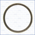 Dichtring, Abgasrohr | 19005500