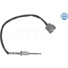 SENSOR, ABGASTEMPERATUR | 36-148000003