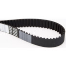 Zahnriemen | CT1038